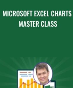 Microsoft Excel Charts Master Class - Igor Ovchinnikov