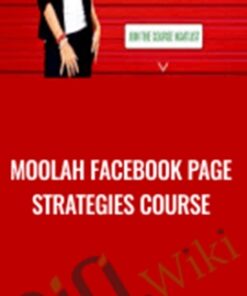 Moolah Facebook Page Strategies course - Moolah