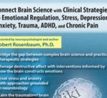Neuroscience for Everyday Practice: Connect Brain Science with Clinical Strategies for Emotional Regulation, Stress, Depression, Anxiety, Trauma, ADHD, and Chronic Pain - Robert Rosenbaum
