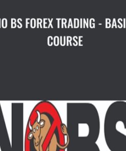 No BS Forex Trading - Basic Course