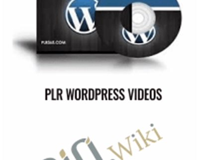 PLR WordPress Videos