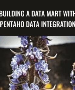 Building a Data Mart with Pentaho Data Integration - Packt Publishing
