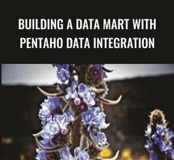 Building A Data Mart With Pentaho Data Integration – Packt Publishing