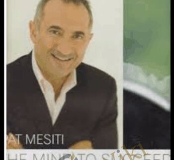 The Mind to Succeed - Pat Mesiti