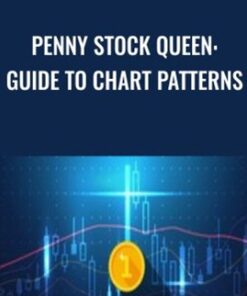 Penny Stock Queen: Beginner Guide to Chart Patterns - Saad T. Hameed (STH)