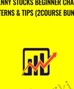 Penny Stocks Beginner Chart Patterns & Tips (2Course Bundle) - Saad Tariq Hameed