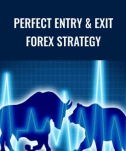 Perfect Entry & Exit Forex Strategy - Daniel Hardman