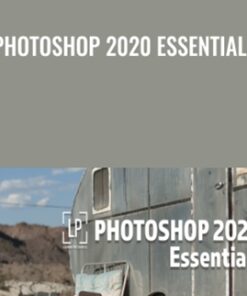 Photoshop 2020 Essentials - Dave Cross
