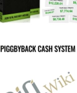 Piggbyback Cash System
