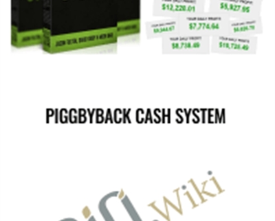 Piggbyback Cash System