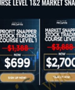Piranha Profits – Stock Trading Course Level 1&2 Market Snapper