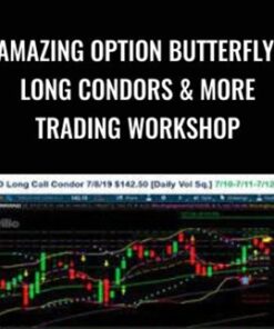 Amazing Option Butterfly, Long Condors & More Trading Workshop – Powercycletrading