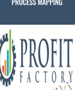 Process Mapping – Profit Factory