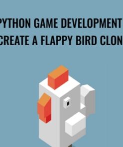 Python Game Development - Create a Flappy Bird Clone - Stone River eLearning