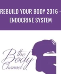 Rebuild Your Body 2016 - Endocrine System