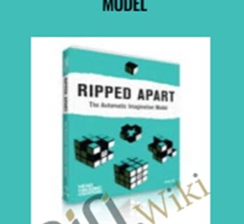 The Automatic Imagination Model – Ripped Apart