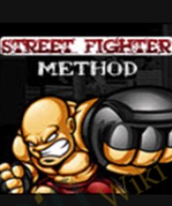 Internet Street Fighter – Robert Stanley