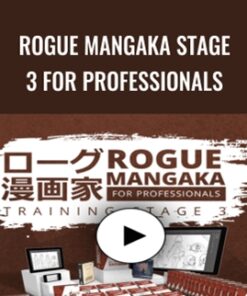 Rogue Mangaka STAGE 3 for Professionals - 2D Animation 101