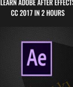 Learn Adobe After Effects CC 2017 In 2 Hours - Ruan Lotter