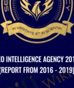 SEO Intelligence Agency 2019 (Report from 2016 - 2019)