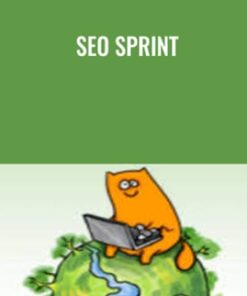 SEO Sprint - Shane Melaugh