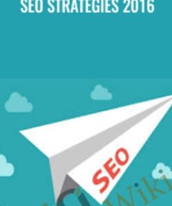 SEO Strategies 2016 - Alex Genadinik