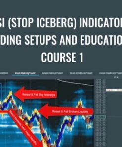 SI (STOP ICEBERG) Indicator Trading Setups and Educational Course 1 – Scott Pulcini