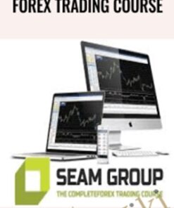 Forex Trading Course - Seam Group - Stefan Theron