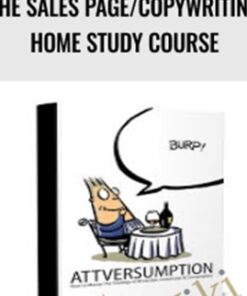 The Sales Page/Copywriting Home Study Course – Sean D'Souza