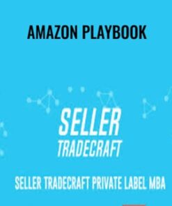 Amazon Playbook – Seller Tradecraft