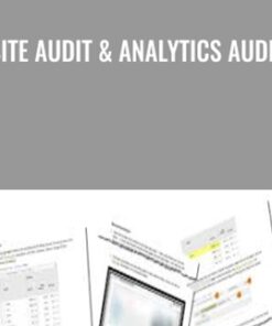 Site Audit & Analytics Audit - Annielytics