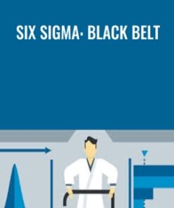 Six Sigma: Black Belt - Richard Chua