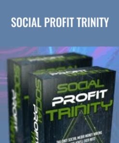 Social Profit Trinity - David Fearom