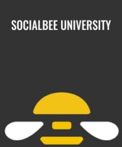 SocialBee University – SocialBee