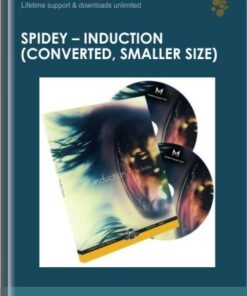 Spidey - Induction (converted, smaller size)