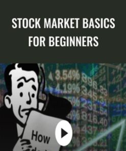 Stock Market basics for Beginners - John Ducas