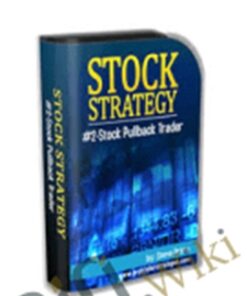 Stock Strategy #2 – Steve Primo