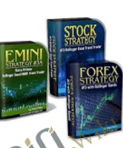 Stock Strategy #3 – Steve Primo