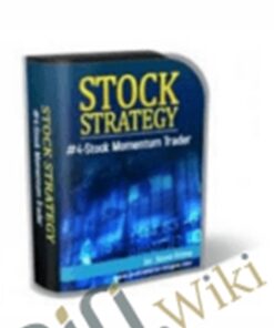 Stock Strategy #4 – Steve Primo