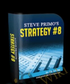 Stock Strategy #8 – Steve Primo