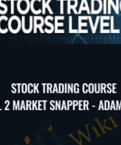 Stock Trading Course Level 2 Market Snapper