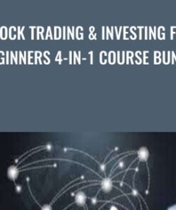 Stock Trading & Investing for Beginners 4-in-1 Course Bundle