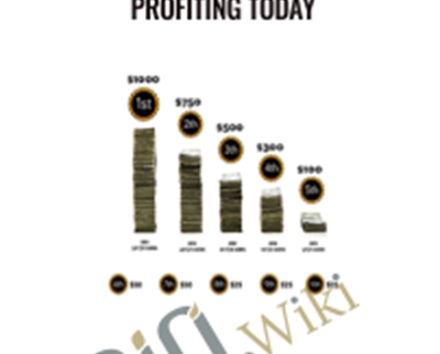 Stop Guessing and Start Profiting Today – eCom Conversions