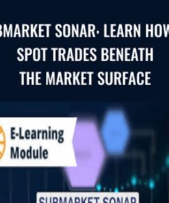 SubMarket Sonar: Learn How to Spot Trades Beneath the Market Surface - Raghee