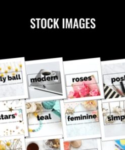 Stock Images – Suzi Whitford