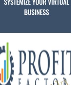 Systemize Your Virtual Business - Tim Francis