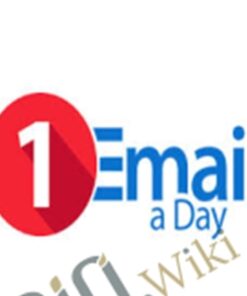 The 1 Email a Day Mastershop – Ryan Lee