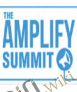 The Amplify Summit 2016 – Various Artists