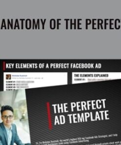 The Anatomy Of The Perfect Ads