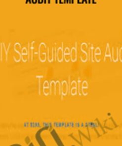 The Annielytics Site Audit Template – Annie Cushing